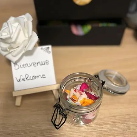 Lägenhet La Perle Du Centre-ville A 2 Pas De La Gare *